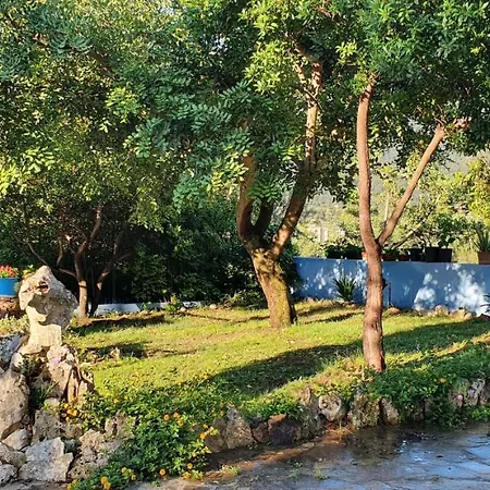 Bellissimo Appartamento In Campagna Apartment Cardedu